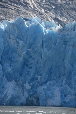 Dawes Buzulu, Endicott Arm, Alaska ABD