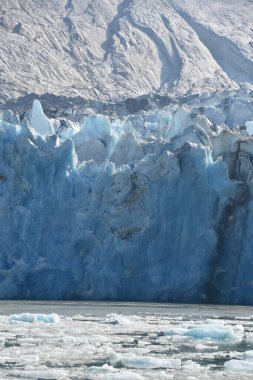 Dawes Buzulu, Endicott Arm, Alaska ABD