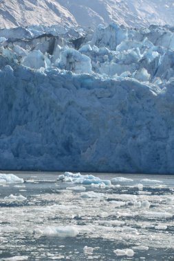 Dawes Buzulu, Endicott Arm, Alaska ABD