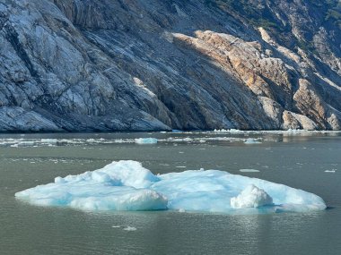 Dawes Buzulu, Endicott Arm, Alaska ABD