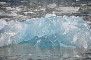 Alaska 'daki Endicott Arm' daki Dawes Buzulu 'ndan buzul.
