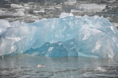 Alaska 'daki Endicott Arm' daki Dawes Buzulu 'ndan buzul.