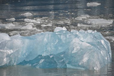 Alaska 'daki Endicott Arm' daki Dawes Buzulu 'ndan buzul.