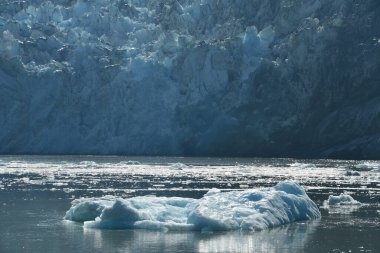 Alaska 'daki Endicott Arm' daki Dawes Buzulu 'ndan buzul.