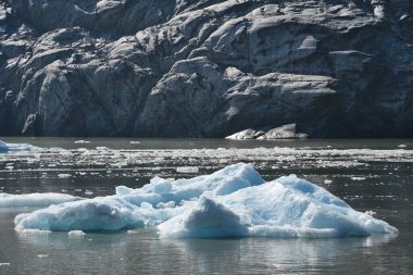 Alaska 'daki Endicott Arm' daki Dawes Buzulu 'ndan buzul.