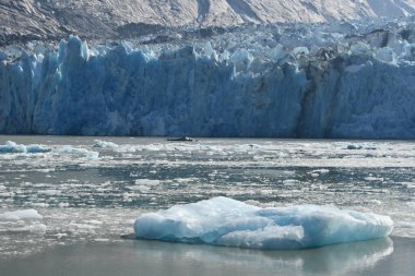 Alaska 'daki Endicott Arm' daki Dawes Buzulu 'ndan buzul.
