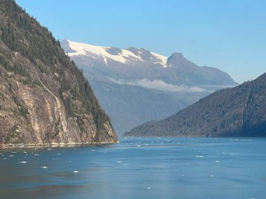 Endicott Arm manzarası, Juneau yakınlarında, Alaska 'da.