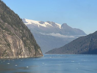 Endicott Arm manzarası, Juneau yakınlarında, Alaska 'da.