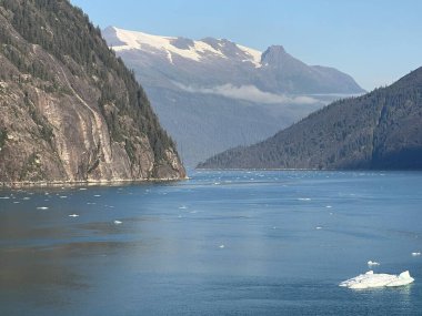 Endicott Arm manzarası, Juneau yakınlarında, Alaska 'da.