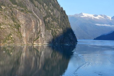 Endicott Arm manzarası, Juneau yakınlarında, Alaska 'da.