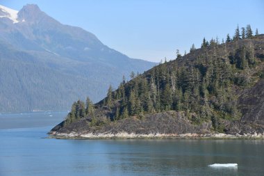 Endicott Arm manzarası, Juneau yakınlarında, Alaska 'da.