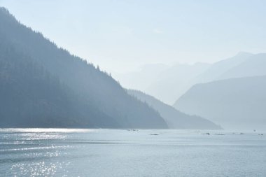Endicott Arm manzarası, Juneau yakınlarında, Alaska 'da.