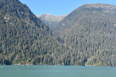 Endicott Arm manzarası, Juneau yakınlarında, Alaska 'da.