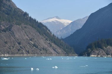 Endicott Arm manzarası, Juneau yakınlarında, Alaska 'da.