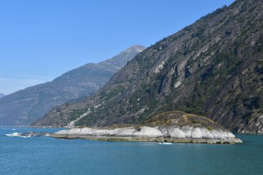 Endicott Arm manzarası, Juneau yakınlarında, Alaska 'da.