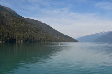 Endicott Arm manzarası, Juneau yakınlarında, Alaska 'da.