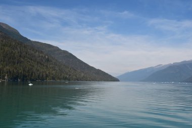 Endicott Arm manzarası, Juneau yakınlarında, Alaska 'da.