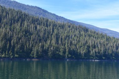 Endicott Arm manzarası, Juneau yakınlarında, Alaska 'da.