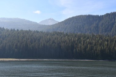 Endicott Arm manzarası, Juneau yakınlarında, Alaska 'da.