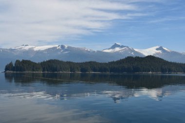 Endicott Arm manzarası, Juneau yakınlarında, Alaska 'da.