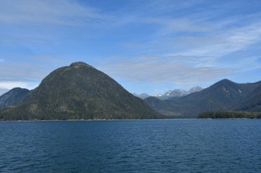 Endicott Arm manzarası, Juneau yakınlarında, Alaska 'da.