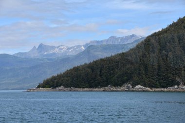 Endicott Arm manzarası, Juneau yakınlarında, Alaska 'da.