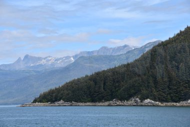 Endicott Arm manzarası, Juneau yakınlarında, Alaska 'da.