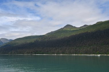 Endicott Arm manzarası, Juneau yakınlarında, Alaska 'da.