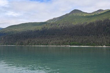 Endicott Arm manzarası, Juneau yakınlarında, Alaska 'da.