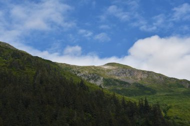 Endicott Arm manzarası, Juneau yakınlarında, Alaska 'da.