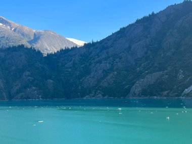 Endicott Arm manzarası, Juneau yakınlarında, Alaska 'da.