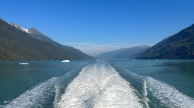 Endicott Arm manzarası, Juneau yakınlarında, Alaska 'da.