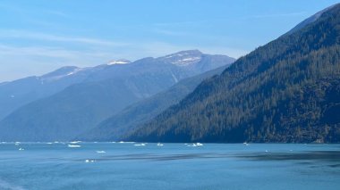 Endicott Arm manzarası, Juneau yakınlarında, Alaska 'da.