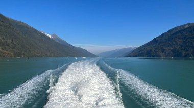 Endicott Arm manzarası, Juneau yakınlarında, Alaska 'da.