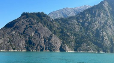 Endicott Arm manzarası, Juneau yakınlarında, Alaska 'da.