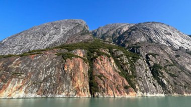 Endicott Arm manzarası, Juneau yakınlarında, Alaska 'da.