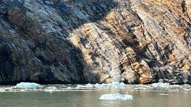 Endicott Arm manzarası, Juneau yakınlarında, Alaska 'da.