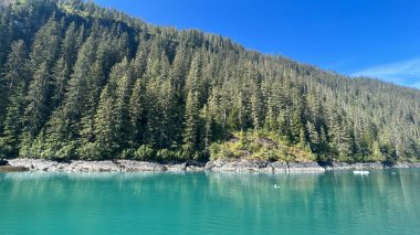 Endicott Arm manzarası, Juneau yakınlarında, Alaska 'da.