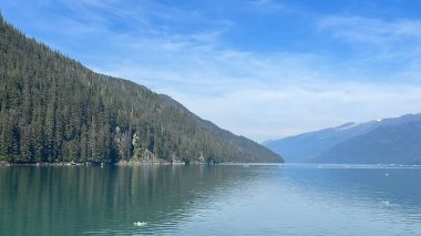 Endicott Arm manzarası, Juneau yakınlarında, Alaska 'da.