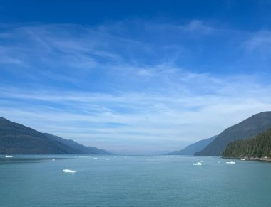 Endicott Arm manzarası, Juneau yakınlarında, Alaska 'da.