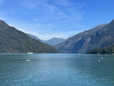 Endicott Arm manzarası, Juneau yakınlarında, Alaska 'da.