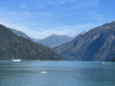Endicott Arm manzarası, Juneau yakınlarında, Alaska 'da.