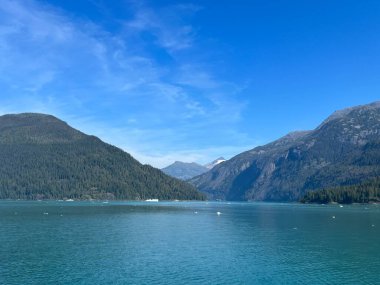 Endicott Arm manzarası, Juneau yakınlarında, Alaska 'da.