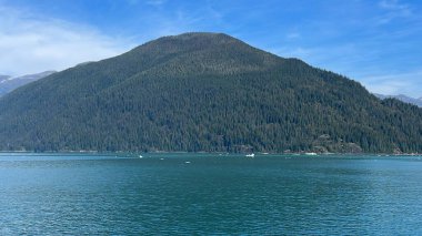 Endicott Arm manzarası, Juneau yakınlarında, Alaska 'da.