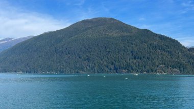 Endicott Arm manzarası, Juneau yakınlarında, Alaska 'da.