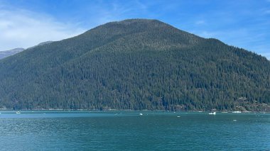 Endicott Arm manzarası, Juneau yakınlarında, Alaska 'da.