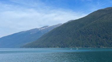 Endicott Arm manzarası, Juneau yakınlarında, Alaska 'da.