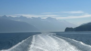 Endicott Arm manzarası, Juneau yakınlarında, Alaska 'da.