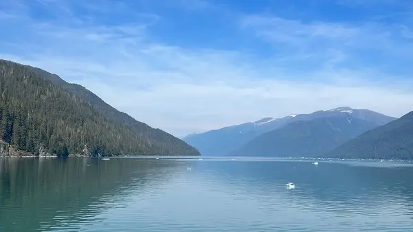 stock image View of the Endicott Arm, near Juneau, in Alaska USA