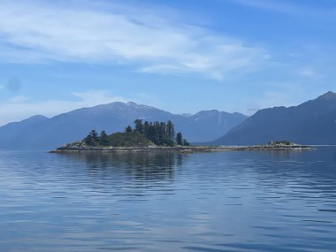 Endicott Arm manzarası, Juneau yakınlarında, Alaska 'da.
